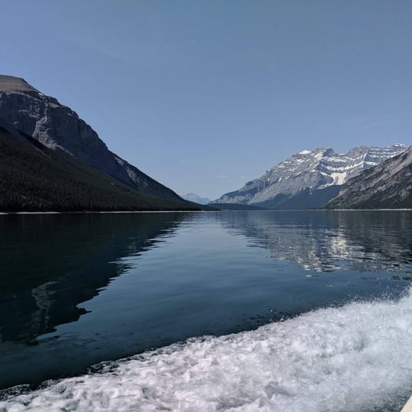 Meet your Posher, Peyton - Picture 1 of 1